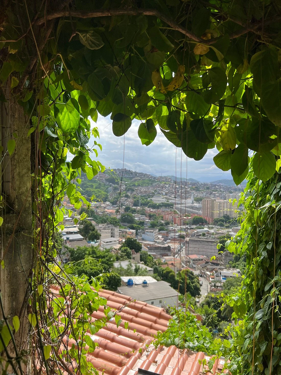 Retro Charm of Santa Teresa - Chef & Sunset - Image